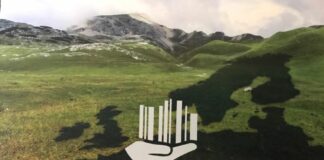 Pmi e opportunità Esg, le micro aziende le più attive