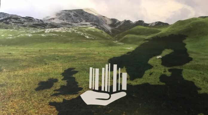 Pmi e opportunità Esg, le micro aziende le più attive