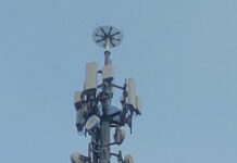 Inwit, in Lombardia una torre ospita un nido per le cicogne