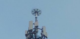 Inwit, in Lombardia una torre ospita un nido per le cicogne