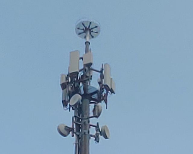 Inwit, in Lombardia una torre ospita un nido per le cicogne