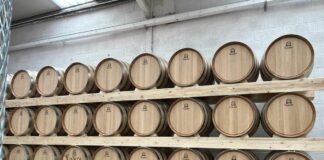 Regione Friuli è attrattiva per investimenti