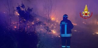 Varese, incendio boschivo minaccia paese. Vigili del Fuoco al Lavoro