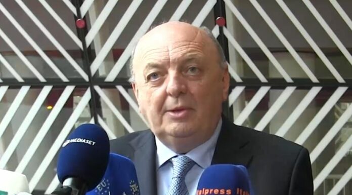 Auto green, Pichetto “Italia astenuta per apertura su endotermici”