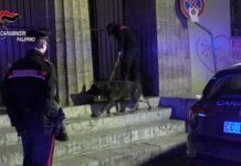 Palermo, 9 arresti per Spaccio di droga a Ballarò