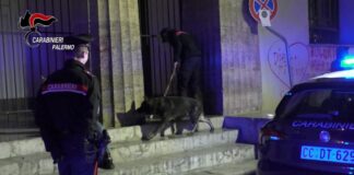 Palermo, 9 arresti per Spaccio di droga a Ballarò