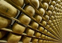 Bloccata registrazione marchio “Alpina Parmesano Snack” in Colombia