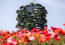Case green, Baccarini “Aggiustamenti insufficienti”