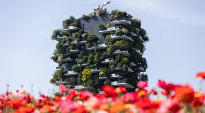 Case green, Baccarini “Aggiustamenti insufficienti”