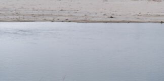 Approvata la convenzione tra Regione Veneto e Aipo