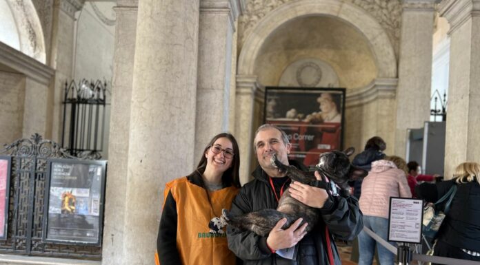 Nei Musei Civici attivato il servizio a portata di zampa