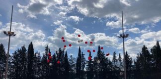 Donazione e trapianto, a Matera manifestazione “Insieme per la vita”