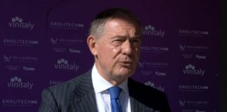 Pnrr, Urso “Serve più flessibilità, risorse su quello che serve”