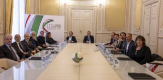 Aperti tavoli di lavoro Lega Pro, Marani “Grazie ai 45 club”