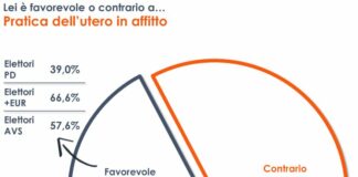 Utero in affitto, il 58% degli italiani è contrario