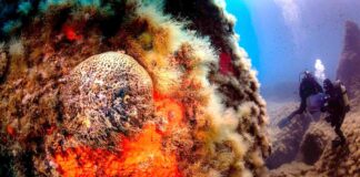 L’Italia rafforza la rete delle Aree Marine Protette nel Mediterraneo