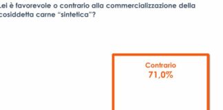 Carne sintetica, 7 italiani su 10 sono contrari alla commercializzazione