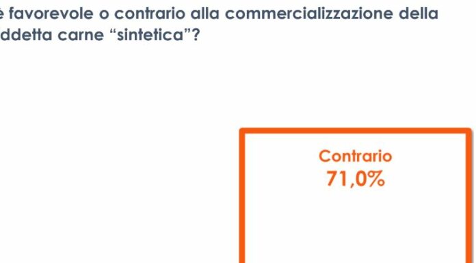 Carne sintetica, 7 italiani su 10 sono contrari alla commercializzazione