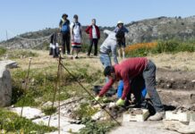 Archeologia, scoperta la strada lastricata dell’antica Segesta