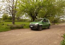 Roma, tutto pronto al Villaggio per la Terra dei Carabinieri Forestali