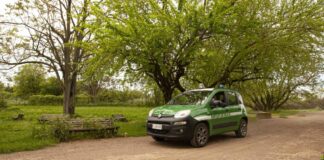 Roma, tutto pronto al Villaggio per la Terra dei Carabinieri Forestali