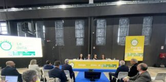 La Sicilia e la sfida delle rinnovabili, esperti a confronto a Catania