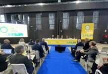 La Sicilia e la sfida delle rinnovabili, esperti a confronto a Catania