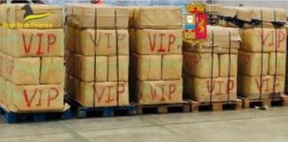 Maxi sequestro di droga al porto di Civitavecchia, arrestato camionista