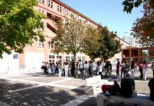 Matematica, In Bicocca per scoprire il fascino di numeri e teoremi