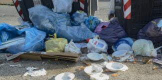 Bottacin “Con River Eye la plastica in Veneto ha le ore contate”