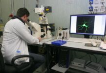 Premi economici fino al 30% per ricercatori e docenti vincitori di finanziamenti