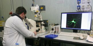 Premi economici fino al 30% per ricercatori e docenti vincitori di finanziamenti