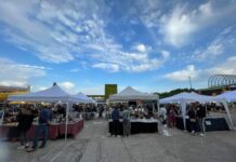 Primavera di giochi, divertimento e musica al Parco della Bissuola