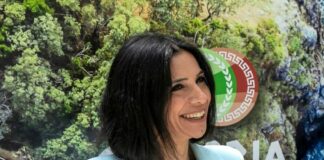 Calabria al 35° Salone del Libro 2023, Princi “Stand funzionale”