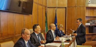 Autonomia, al via iter in Commissione al Senato