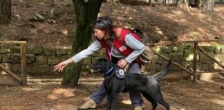 Dopo l’asino “operatore ecologico”, a Castelbuono un labrador raccoglie plastica abbandonata