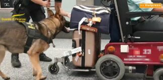 Nascondeva 8 chili di cocaina nella sedia a rotelle, arrestato a Malpensa