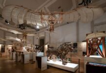 Milano, Museo Leonardo3 compie 10 anni e presenta nuove collaborazioni