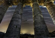 Presentato il ricco cartellone del Segesta Teatro Festival 2023