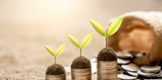 Nel 2022 in Italia 35,4 mln di investimenti a impatto