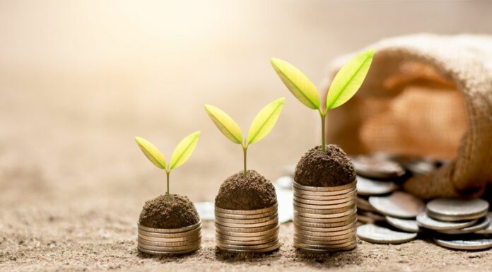 Nel 2022 in Italia 35,4 mln di investimenti a impatto