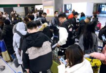 American Airlines e Sea celebrano 15 anni volo Malpensa-New York