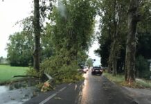 Maltempo, in Veneto allerta gialla per criticità idrogeologica