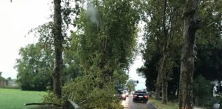 Maltempo, in Veneto allerta gialla per criticità idrogeologica