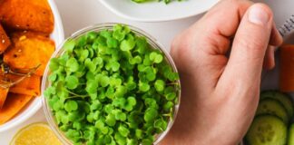 Carne coltivata e vegetariano guidano la rivoluzione a tavola