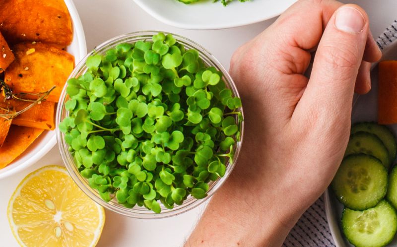 Carne coltivata e vegetariano guidano la rivoluzione a tavola