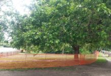 Assago, al via i lavori per primo parco totalmente inclusivo d’Italia