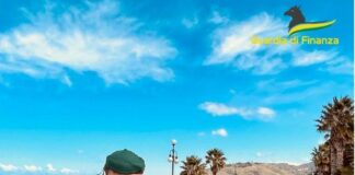 Sequestrati 2.700 kg di cocaina nel porto di Gioia Tauro