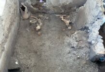 Pompei, emergono nuove vittime dallo scavo dei Casti Amanti