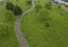 Forestazione urbana, nuovo modello di calcolo per l’assorbimento della CO2